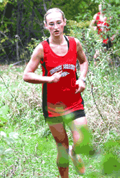 Viking and Wildcat cross country runners compete in Duluth