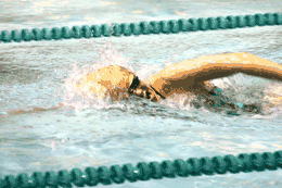 Lead photo