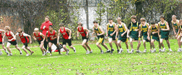 Lead photo
