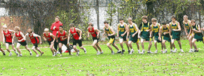 Wildcat and Viking cross country teams prepare for conference and section meets 
