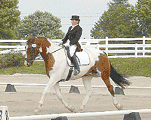 Local rider earns certification for dressage instruction