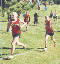 Viking hopes for trip to State Meet dashed in Elk River