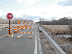Rotted beam curtails County Road 36 bridge traffic; contactor sought 