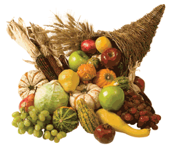Kids share thoughts on Thanksgiving
