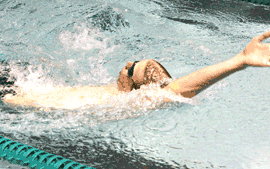 Wildcat swimmers win 106-74 before home fans