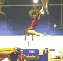 Viking gymnasts overwhelm CH before falling to Wildcats 