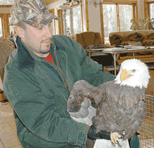 Raptor Center caring for eagle, your donations could bring King back to live here