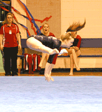 Wildcat and Viking gymnasts compete at section meet 