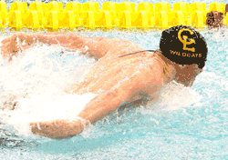 Chisago Lakes swim team finishes 15th at state  