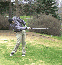 Viking golfers fifth at Pheasant Acres