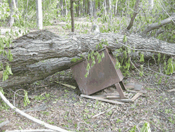 Storm damage at Warner Nature Center
