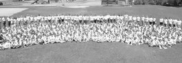 Lead photo