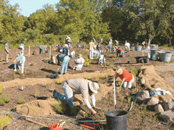 Many hands make for a lighter load...
