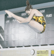 Brogan Lee and Alex Thomsen collect section titles, on to state this weekend