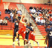 Norman gets first and last word for Viking hoops