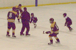 Chisago Lakes blanks Cooper after ugly C-I loss