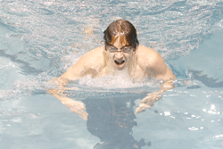 Lead photo