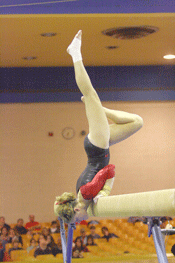 NB gymnasts break record