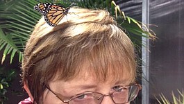 Lead photo
